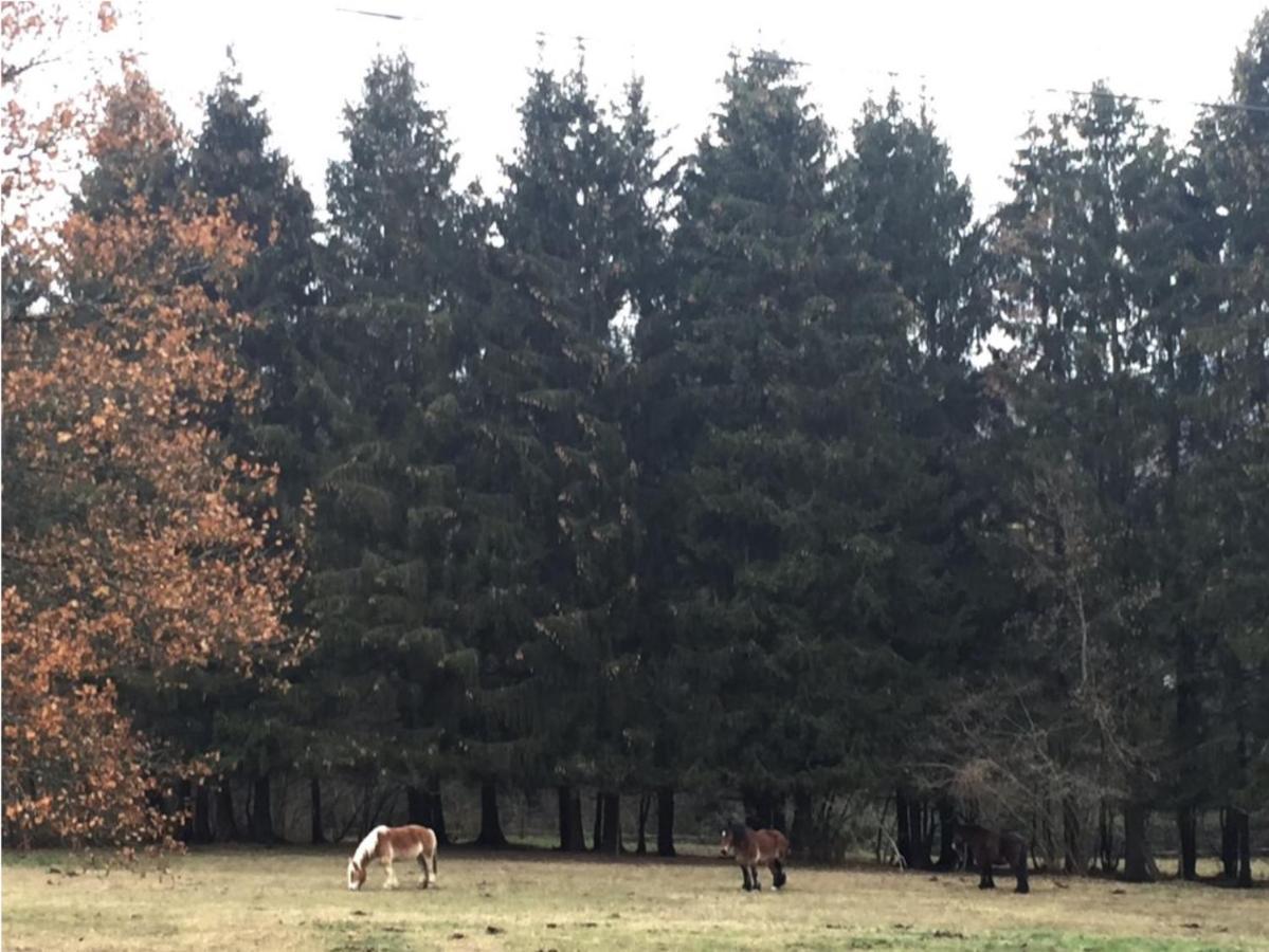 La Chenaie Villa Vresse-sur-Semois Bagian luar foto